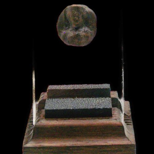 Roman Bronze Sword Baldric Stud with Bust